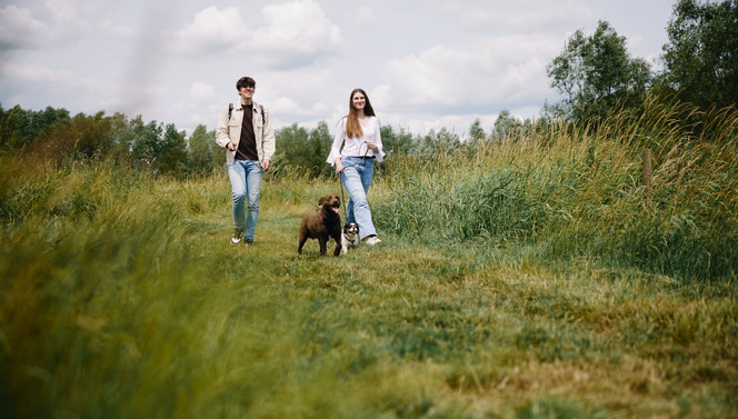 Wandern Groningen