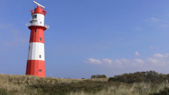 Borkum 2