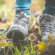 Wandern