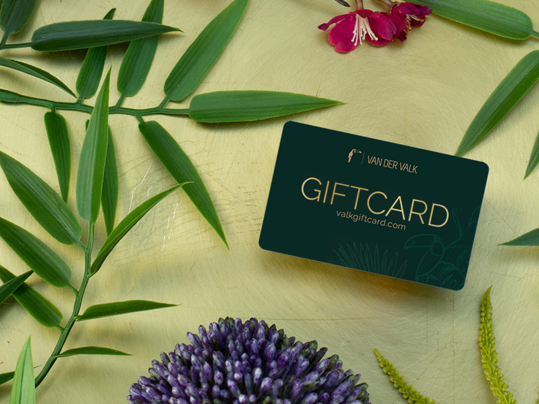 Giftcard Groningen hoogkerk